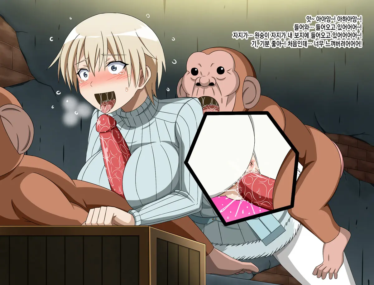 Super Hentai CG Shuu 15 Saru Ni Kawareru Mesu Dorei